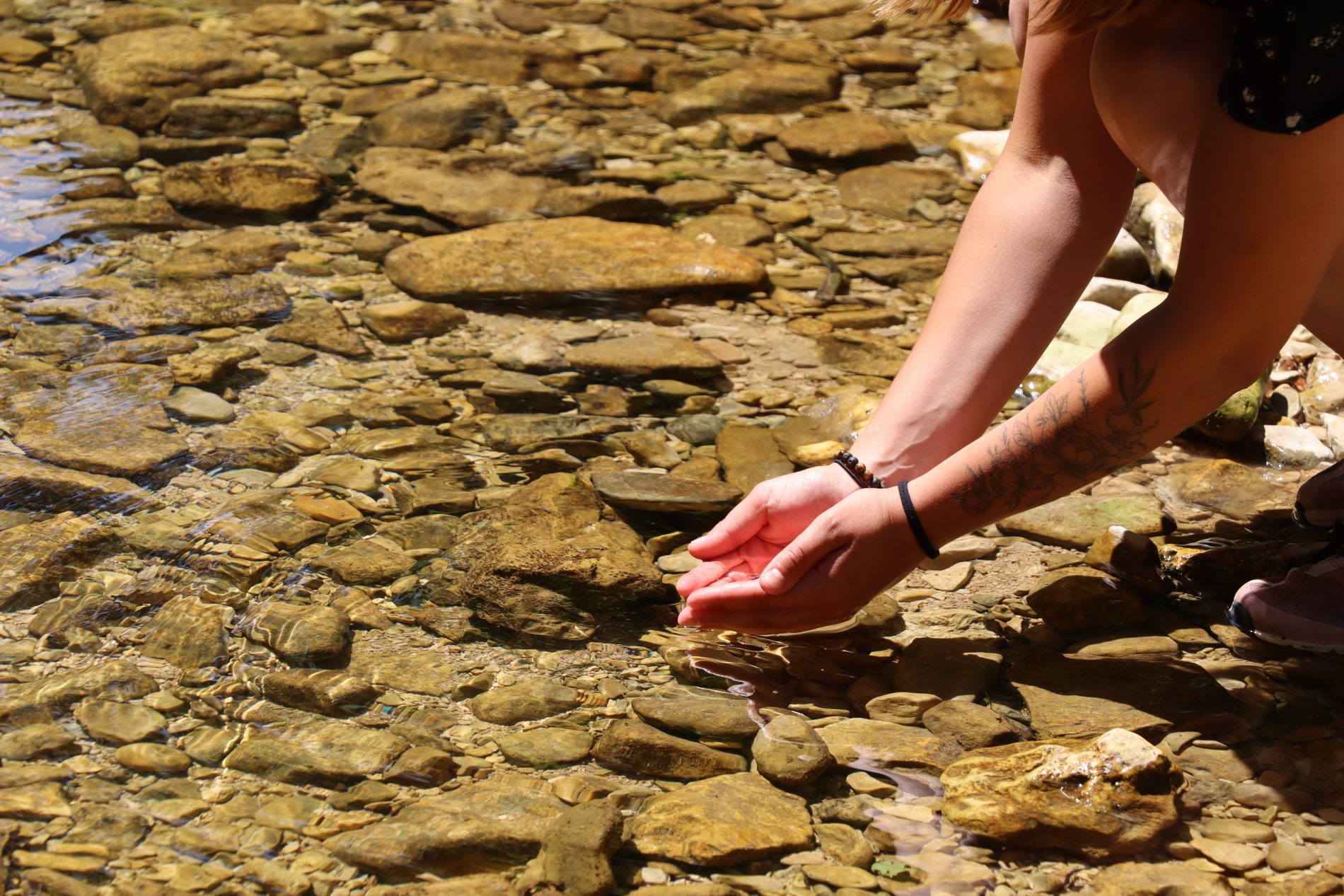 Moment fraicheur au bord d'une rivière