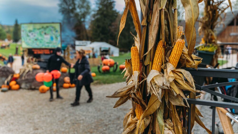 Décors pour Halloween au Dino-Zoo