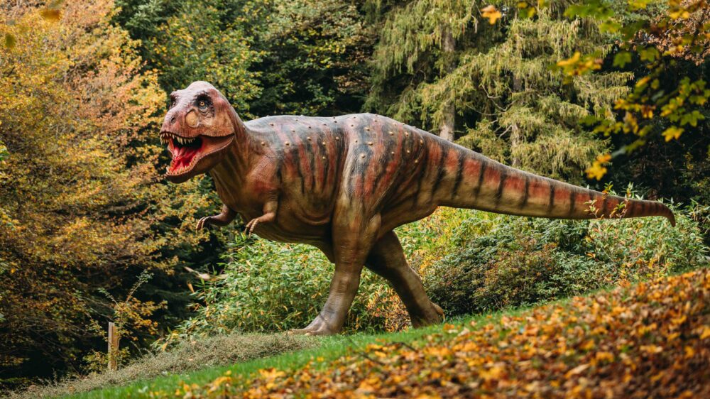 T-Rex au Dino-Zoo