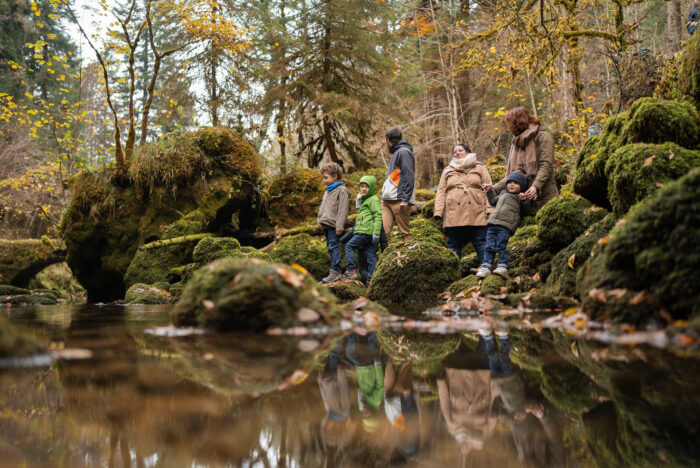 Promenade en automne dans le Parc du Val de Consolation
