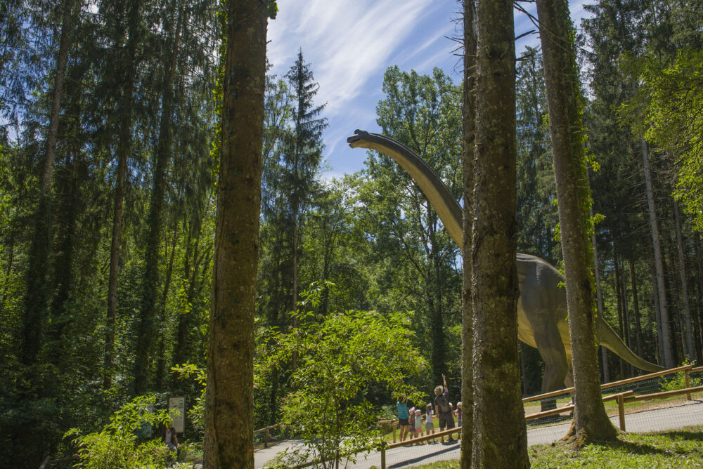Une famille face à la démesure de certains dinosaures