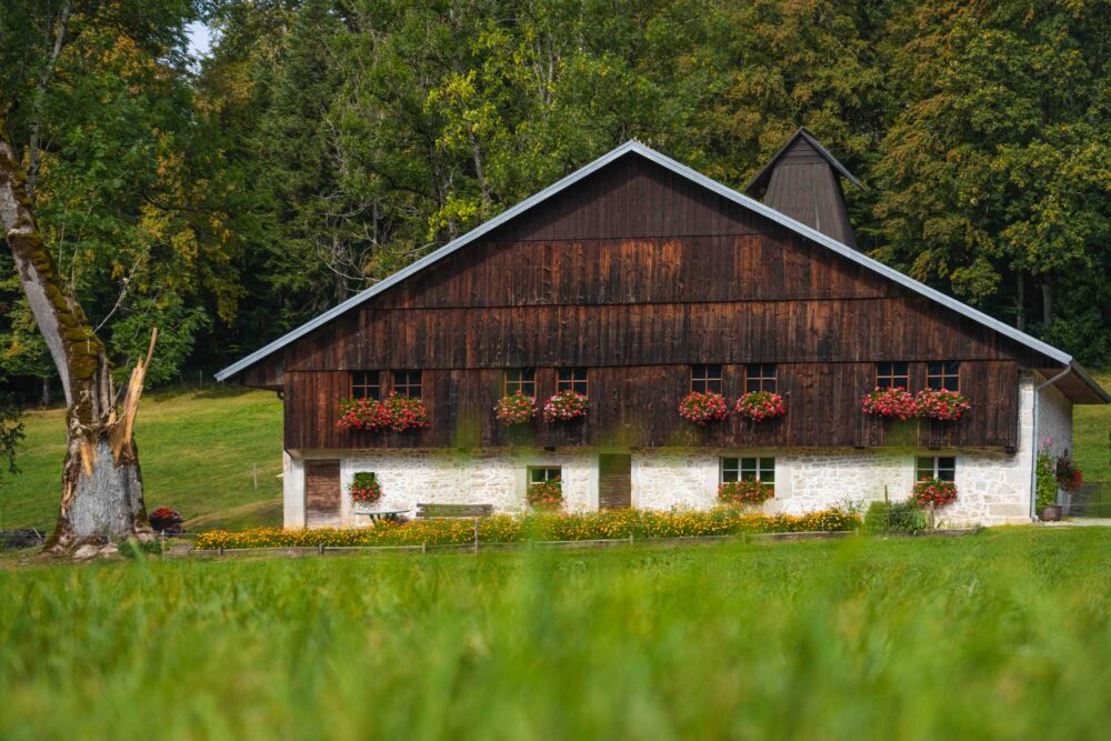FERME CCPHD MAXIMENAEGELY LQ 4