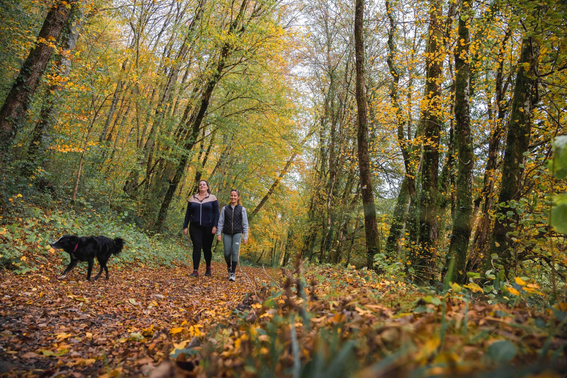 Randonneurs en foret en automne