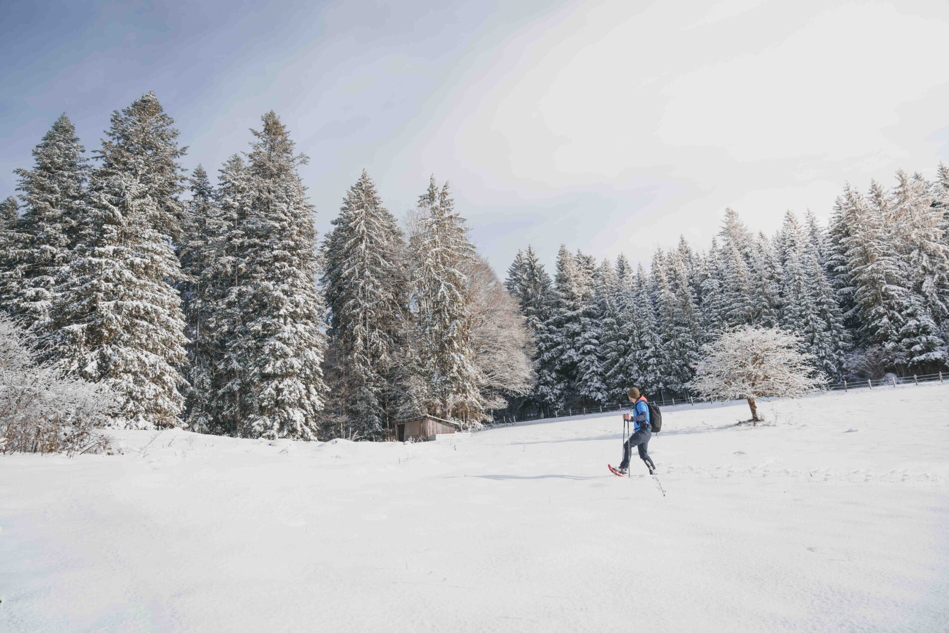 HIVER FOURNETLUISANS CCPHD MAXIMENAEGELY LQ 13