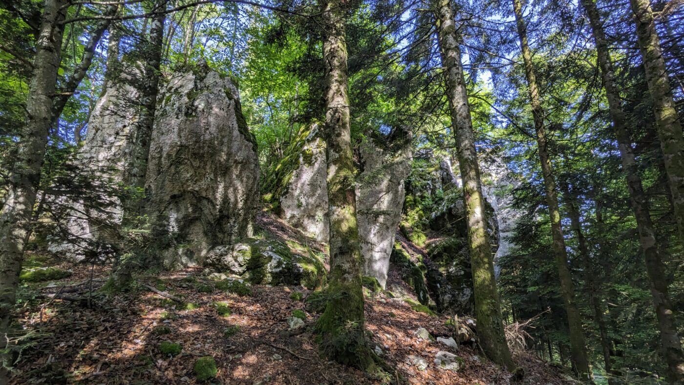 PXL_20260521_071942513