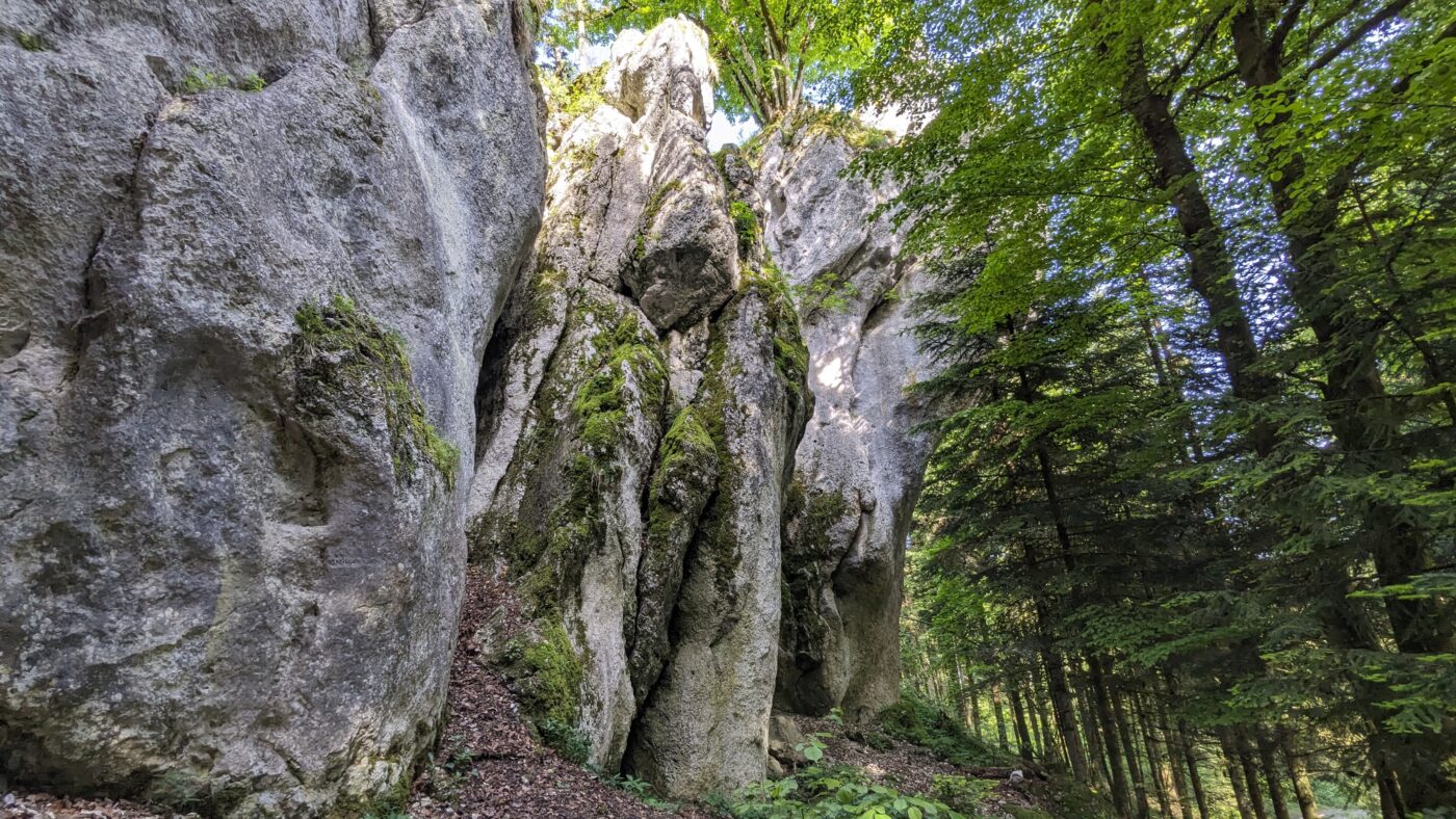PXL_20260521_072032841