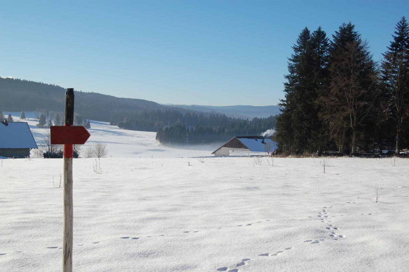 Ski de fondsvaldevennes
