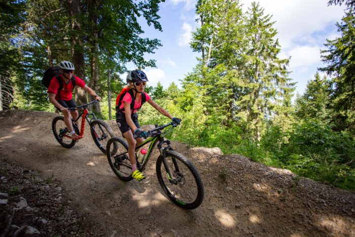 2019_METABIEF_VTT