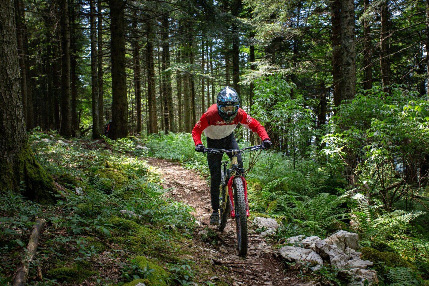 2019_METABIEF_VTT