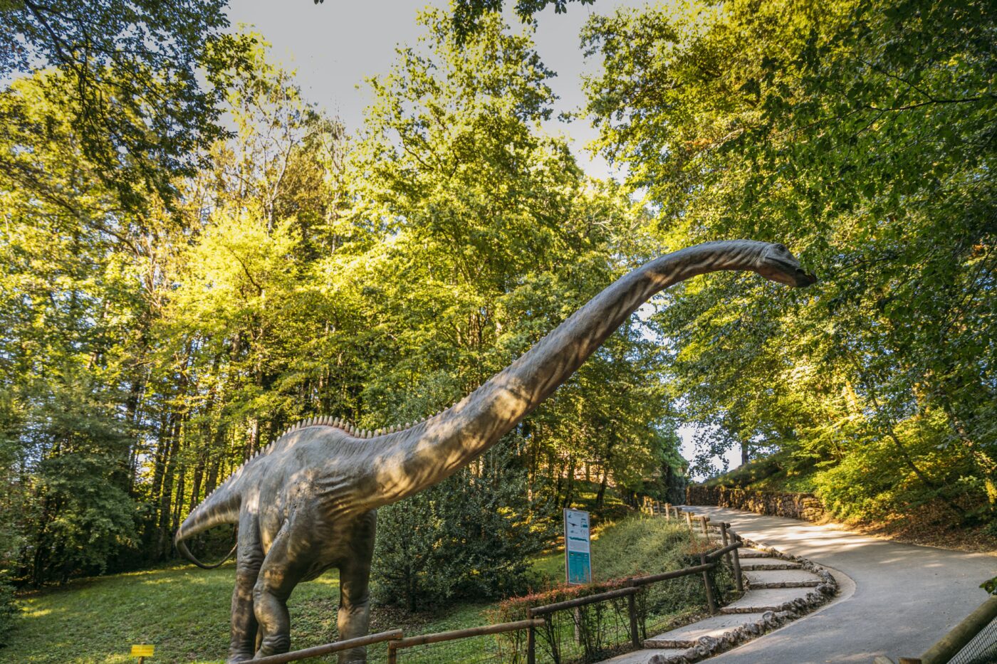 Dino-Zoo @Flyviewpicture