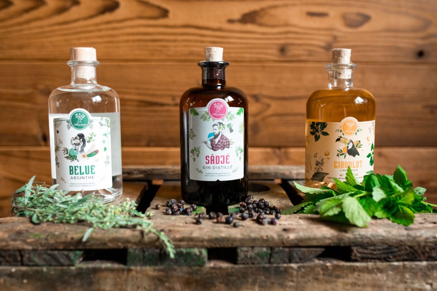 L'atelier Sauvage