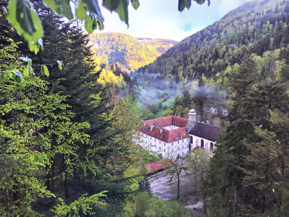 186488190_2896440983927618_4470911315102037648_n