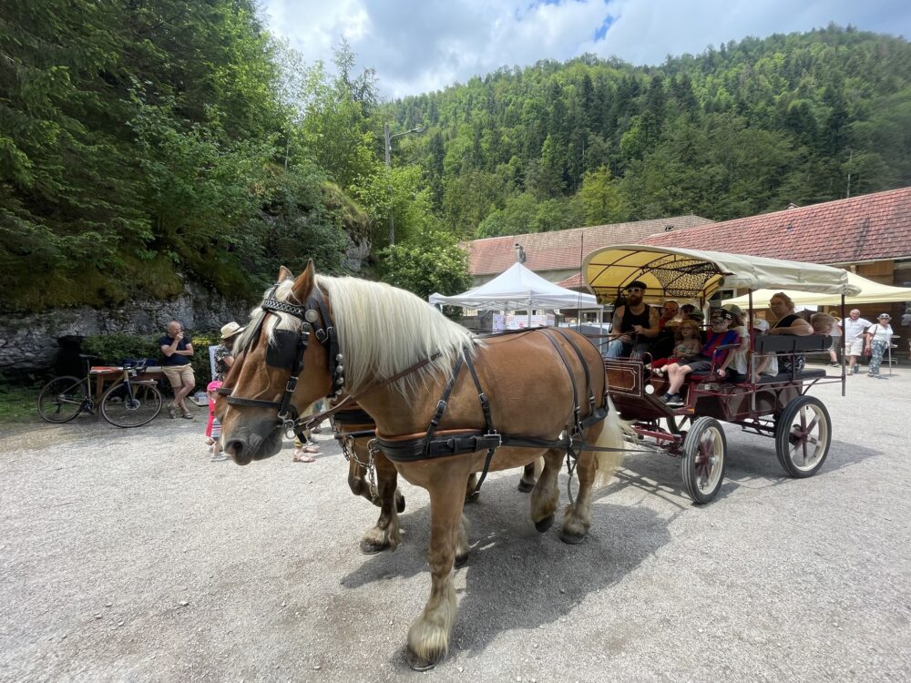 351390481_740855581149628_8292208938146456088_n