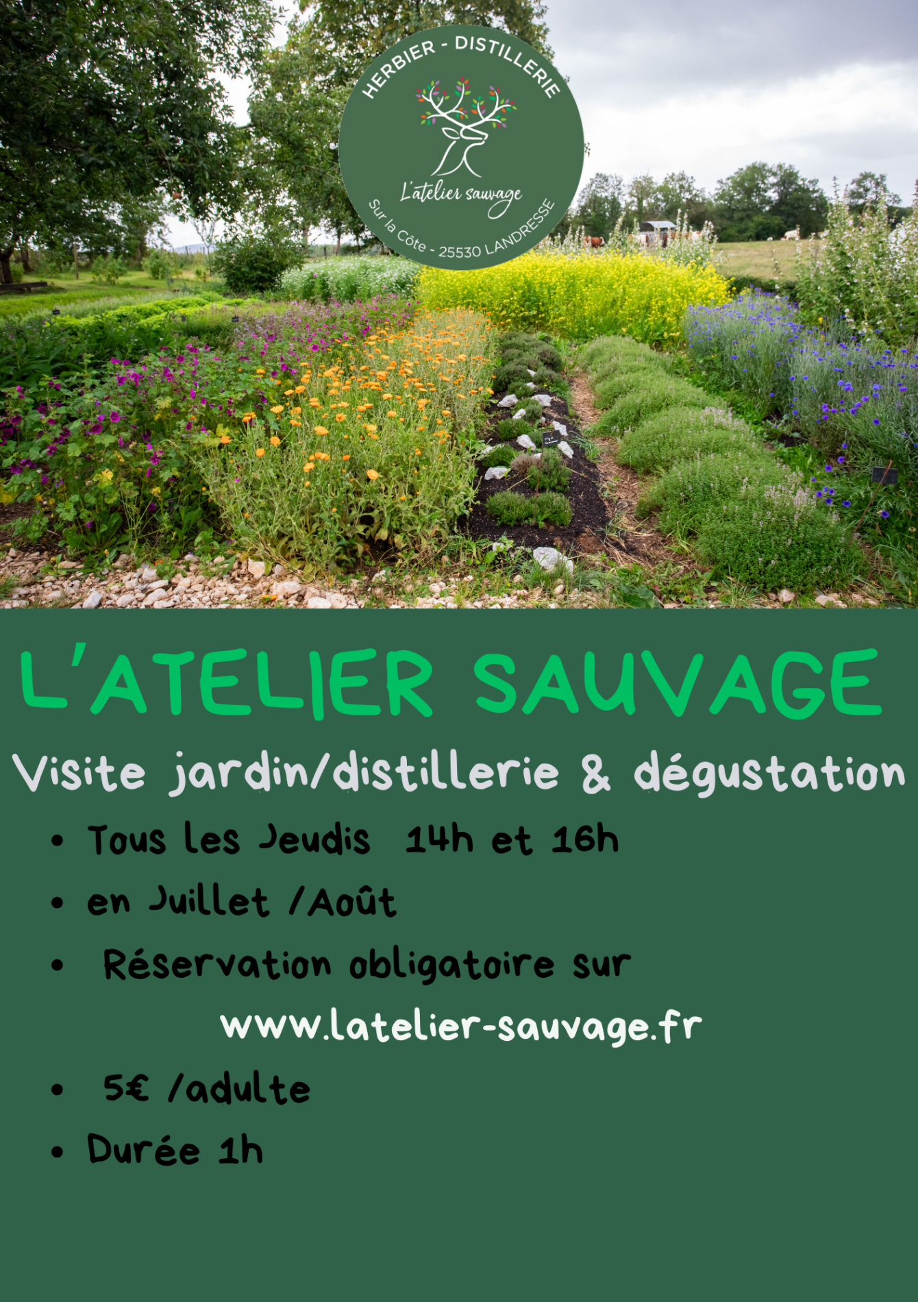 VISITE DES JARDINS ET DE LA DISTILLERIE Tous les Jeudis à 16h en Juillet /Août Réservation conseillée au 06.32.84.91.26 5€ par adulte (dégustation comprise), durée 1h - 1