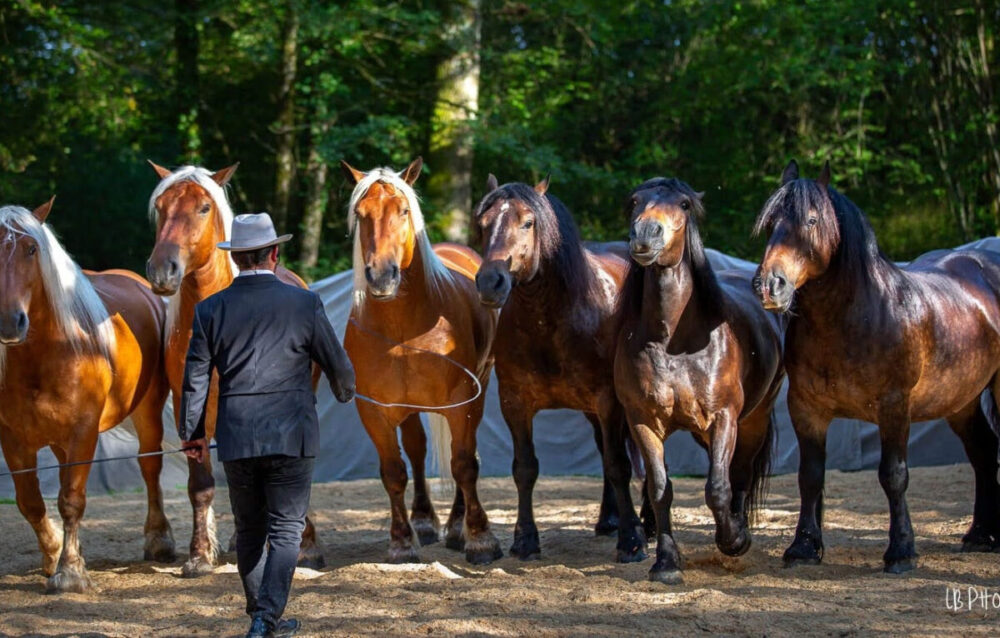 spectacle-equestre-musee-des-maisons-comtoises1-1200x766