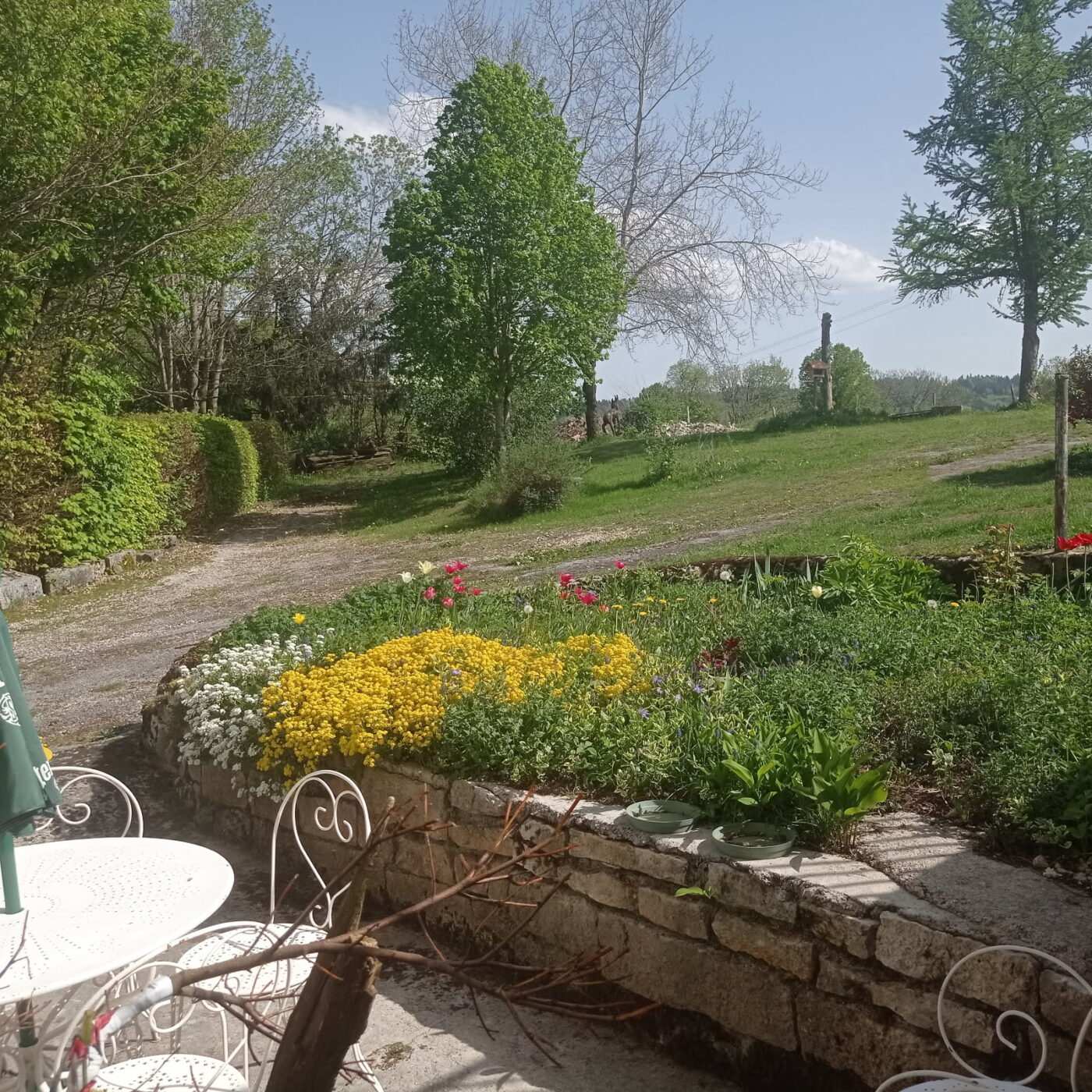 Vue depuis la terrasse