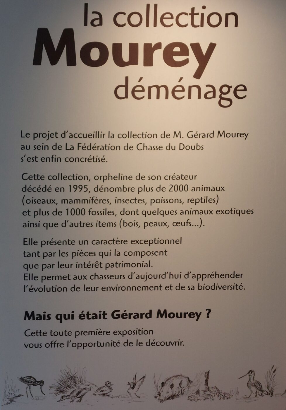 Musée de la Chasse et de la Nature