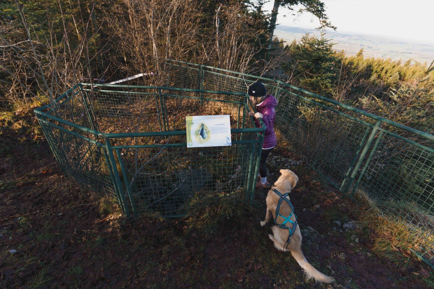 CCPHD-DEC2025-MAXIME NAEGELY-LOW-9